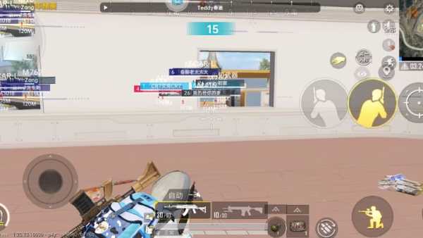 和平精英辅助【飞鸟】